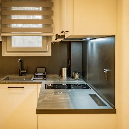 Urban Metro Flats * Selanik